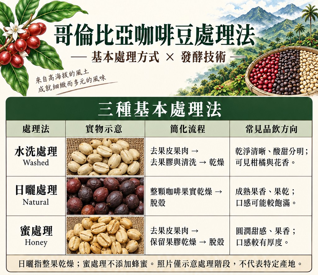 處理法介紹 咖啡水洗、日曬與蜜處理三種基礎處理方式圖表