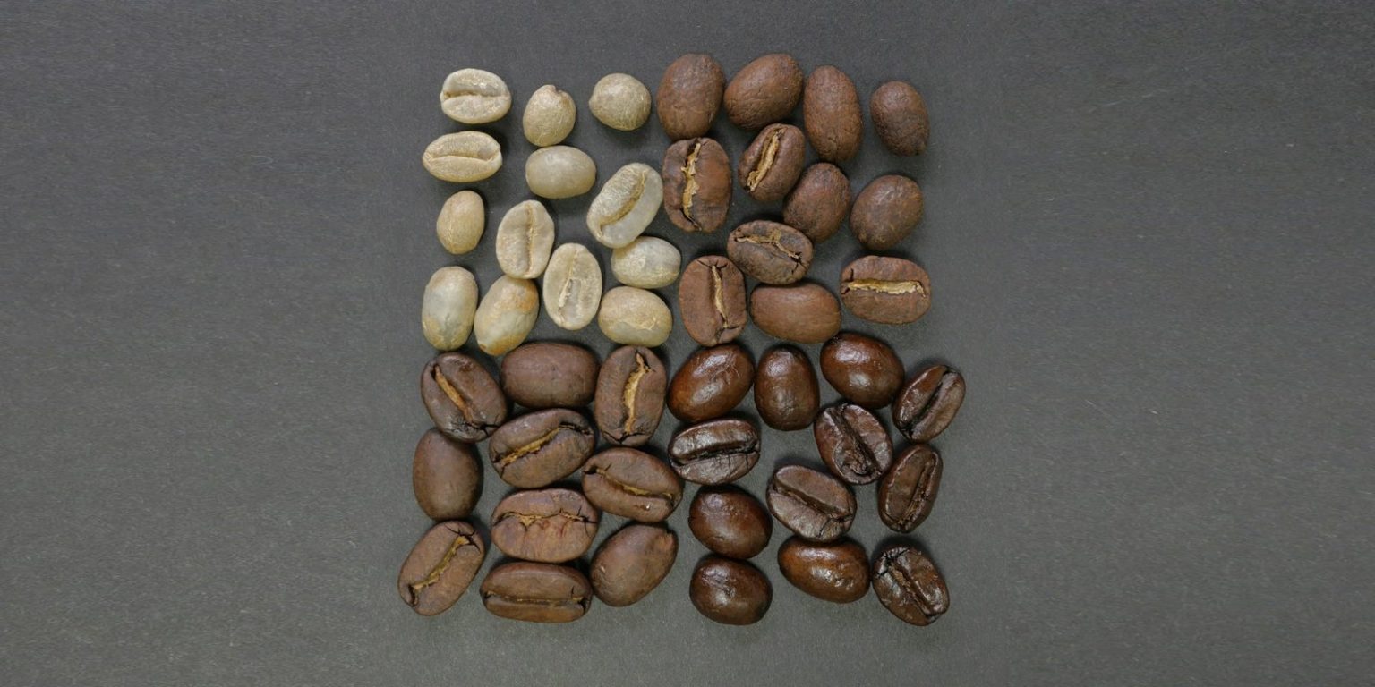 咖啡知識 深灰色背景上,淺色的咖啡生豆與深褐色的熟豆整齊排列對照